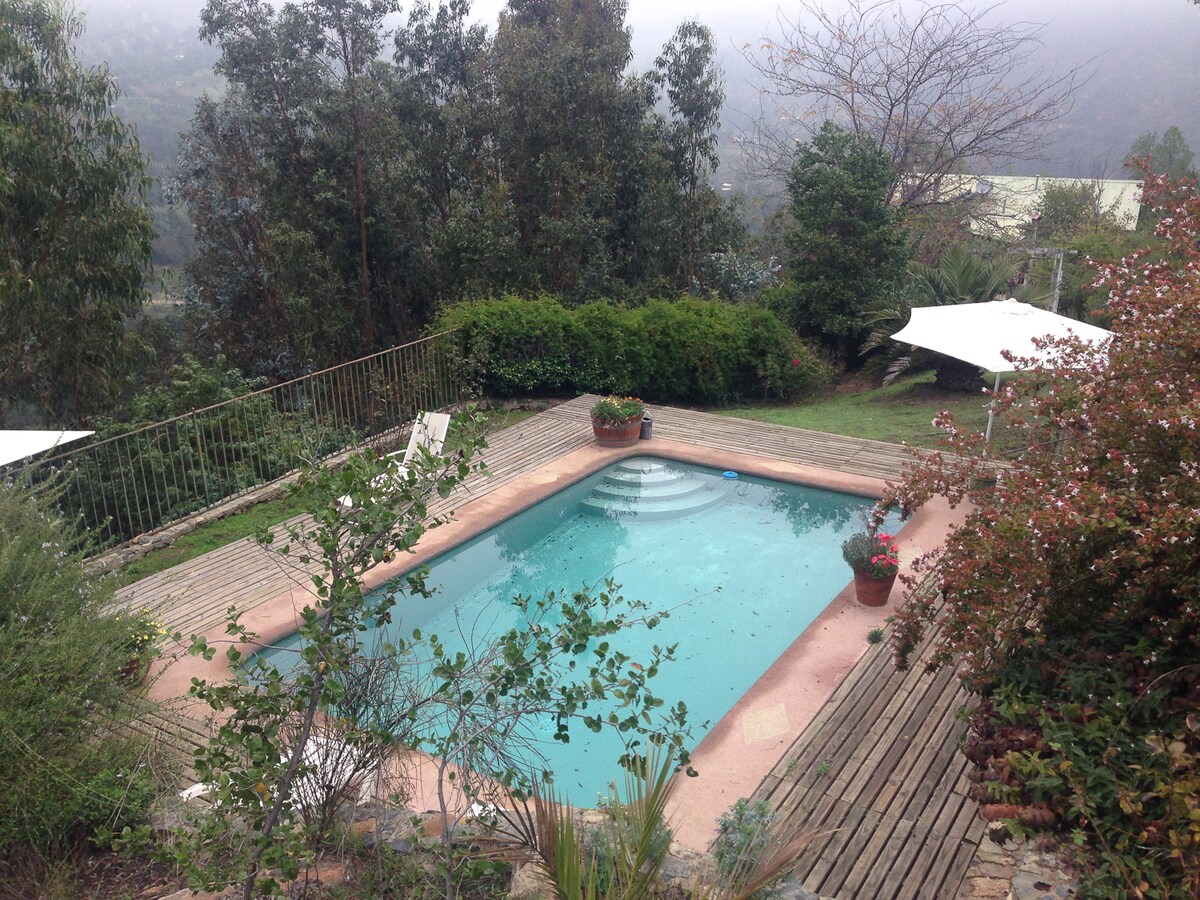 A private swimming pool is surrounded by wooden decking and lush greenery, providing a serene atmosphere. Potted plants add a touch of color, while the misty backdrop suggests a connection to the natural landscape. Comfortable loungers are positioned along the edge of the pool.