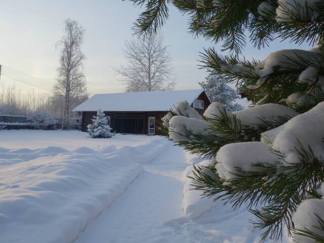 Family cozy house Blueberry