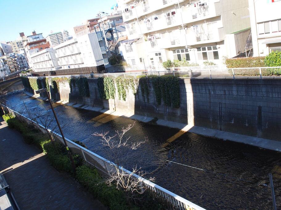 Riverside view