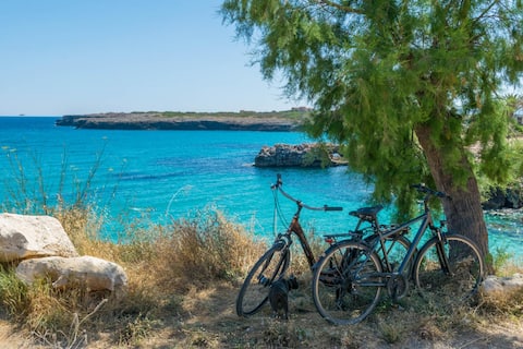 Propiedad de Airbnb exitosa: Cozy apartment by the sea. "OM" House en Manacor