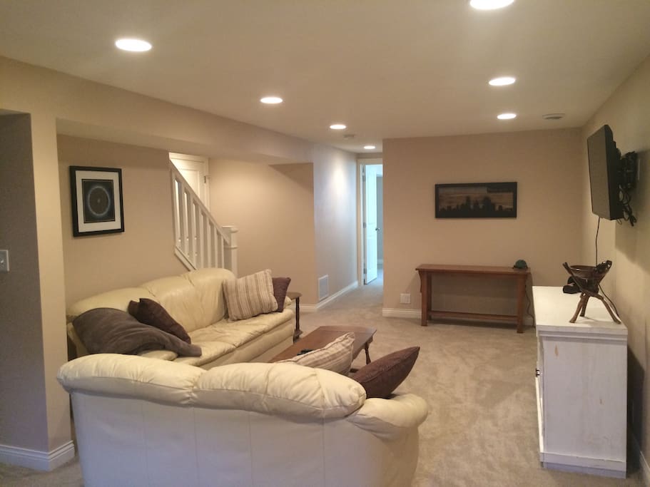 Lower level family room