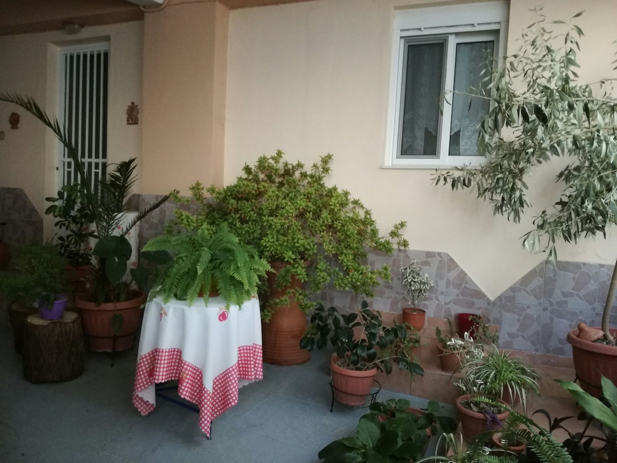 A small outdoor area is surrounded by a variety of potted plants, including ferns and shrubs. A table draped with a red and white checkered tablecloth is positioned in the center. A window and a door are visible in the background, framed by the greenery.