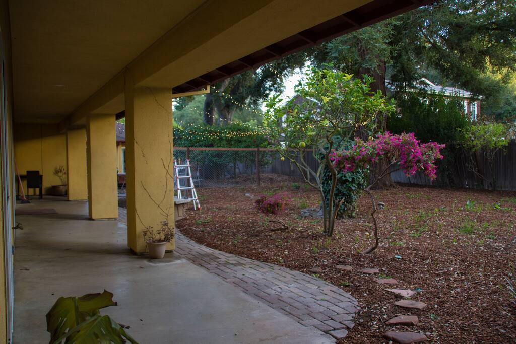 Backyard View