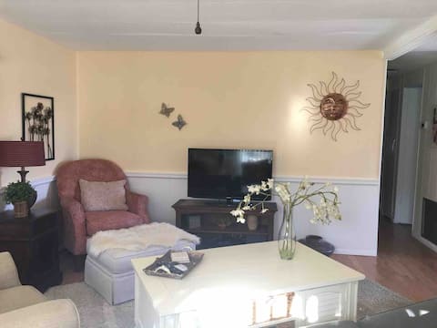 Popular Airbnb listing: My Sunny home on the Bay. in Cortez