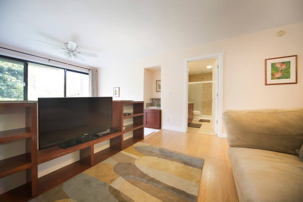 Comfy living room area with 43" SmartTV + Netflix, Hulu, Cable and BlueRay DVD player