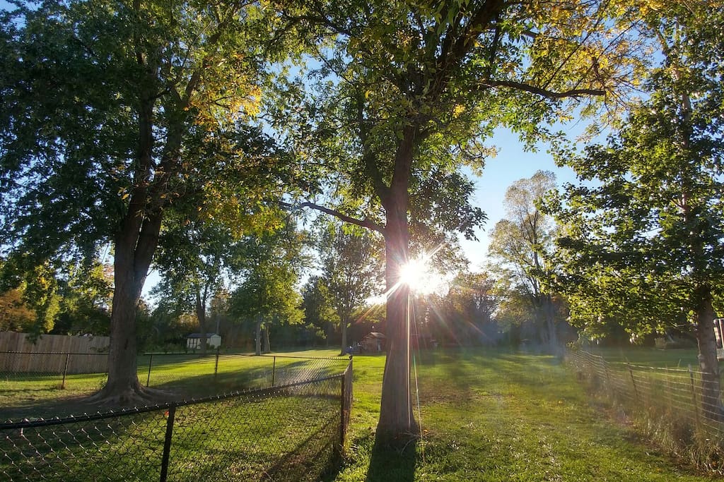 Gorgeous sunny backyard