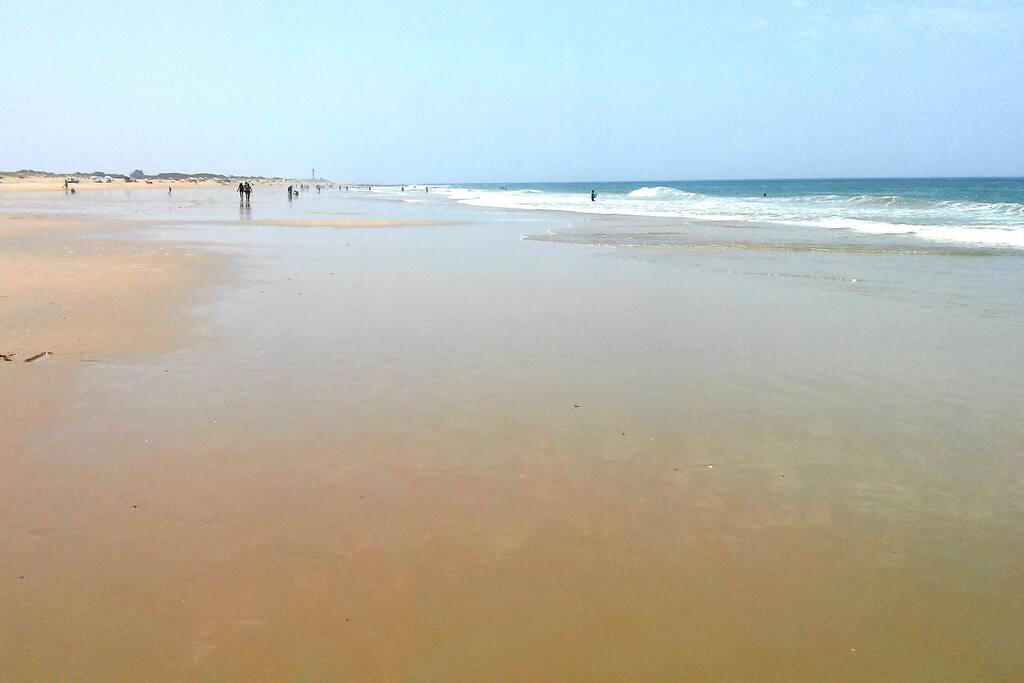 Playas inmensas para pasear. Salida directa desde la urbanización.