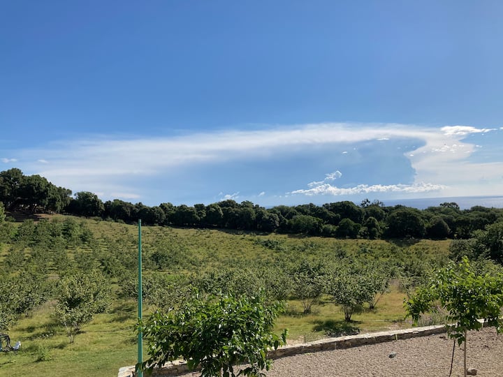 Logement Atypique En Pierre En Pleine Nature - Korsika