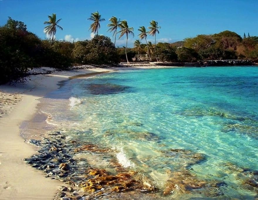 Lovely Sapphire Beach- just a walk away!