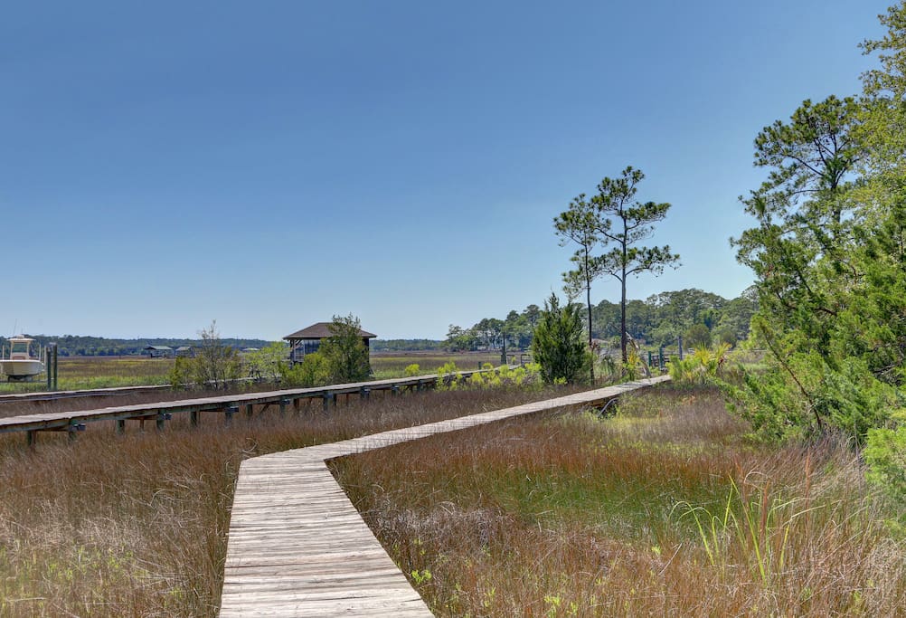Walk way to dock over the marsh great place to see lots of good stuff