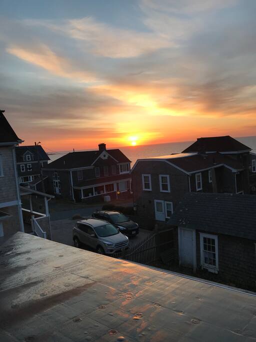 View from back porch