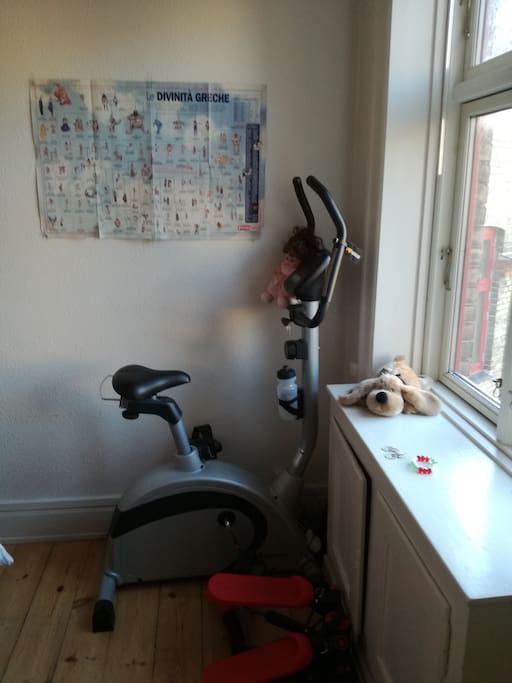Gym time with my Motion Cycle