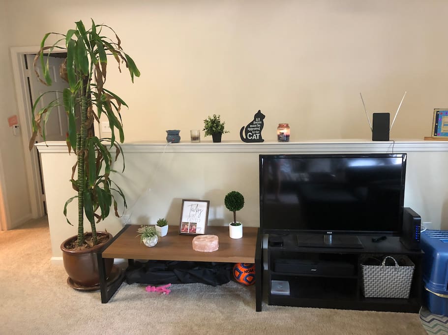 Living Room - TV and decor