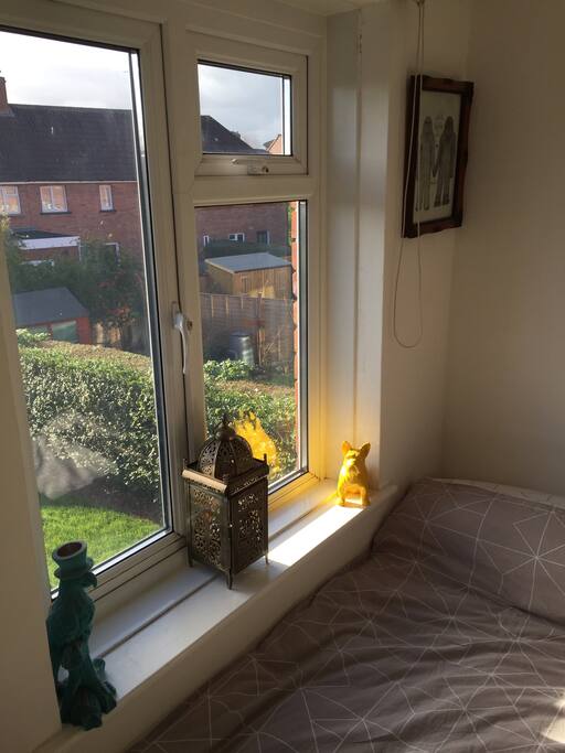 Window view