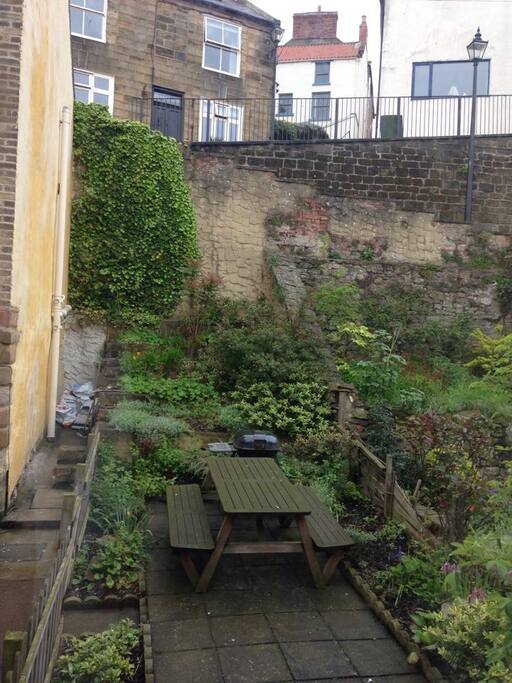 Back garden