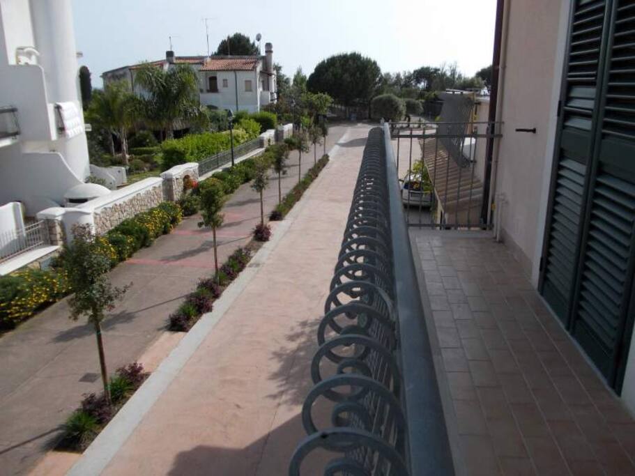 viale