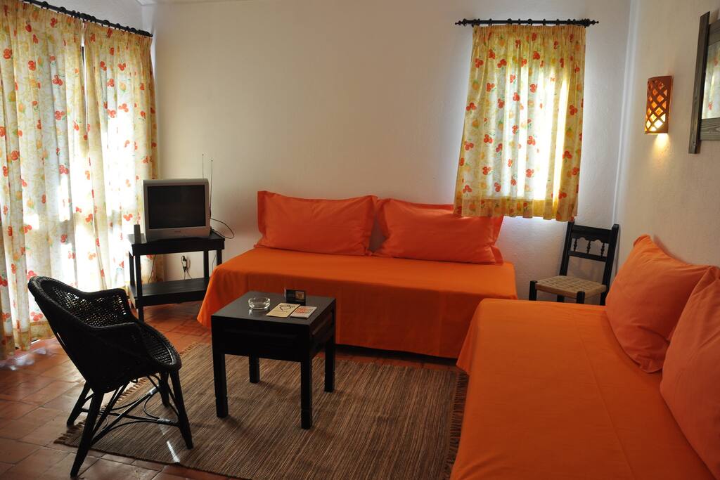 Studio Common Living and Sleeping area