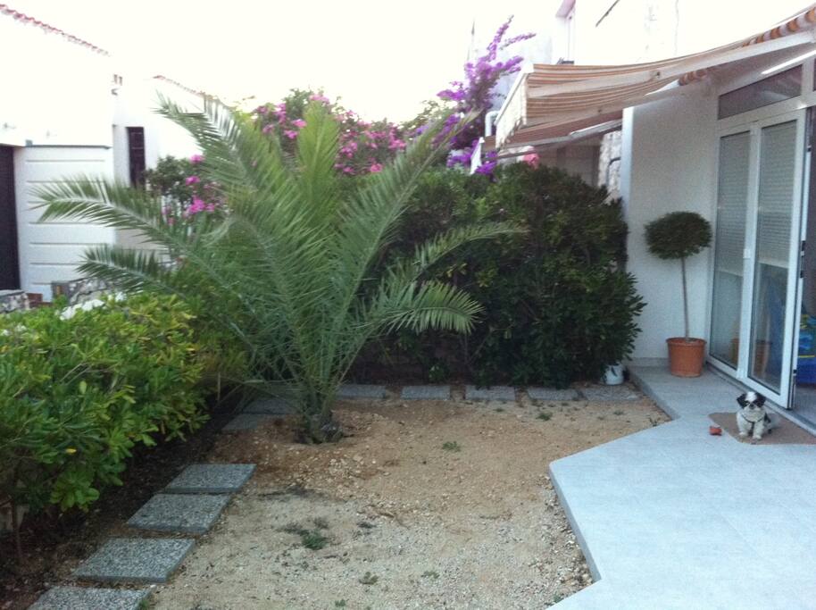 Small garden