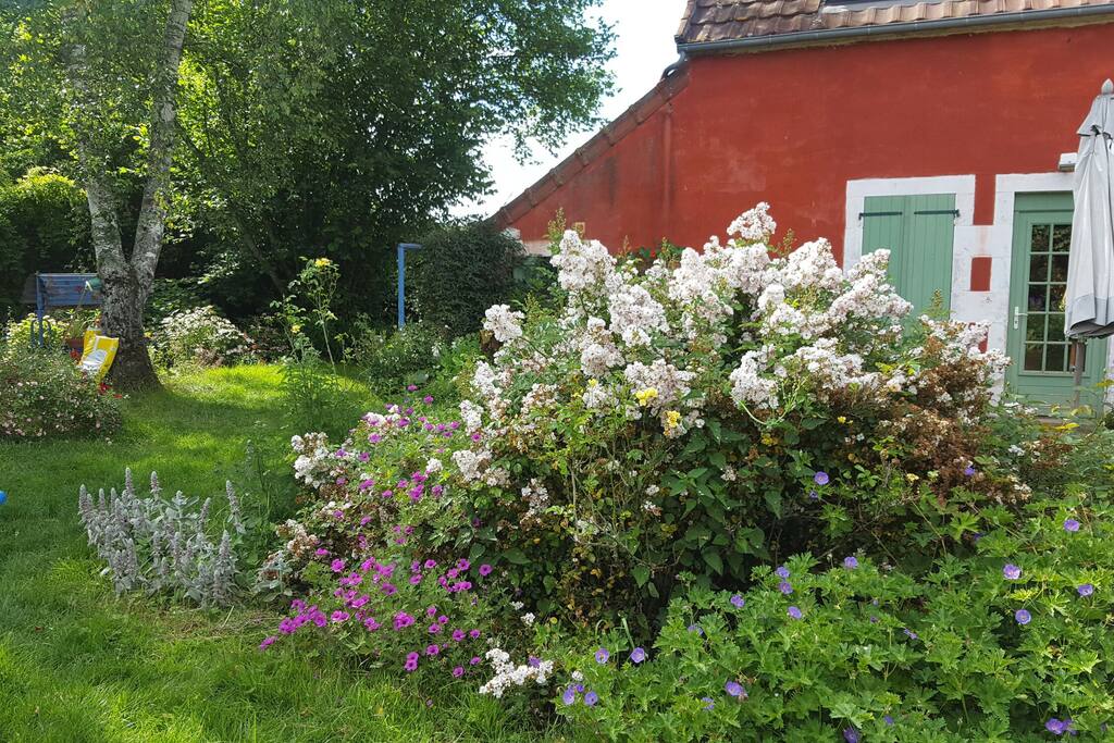 le jardin