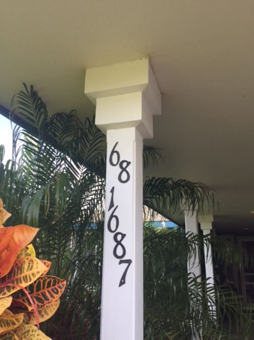 The Address