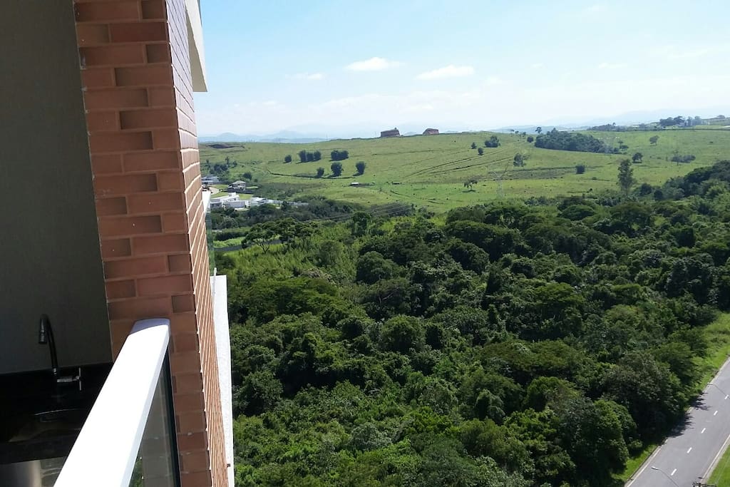 Área de preservação ambiental ao lado do apartamento