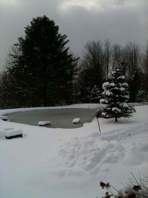 Pond in winter