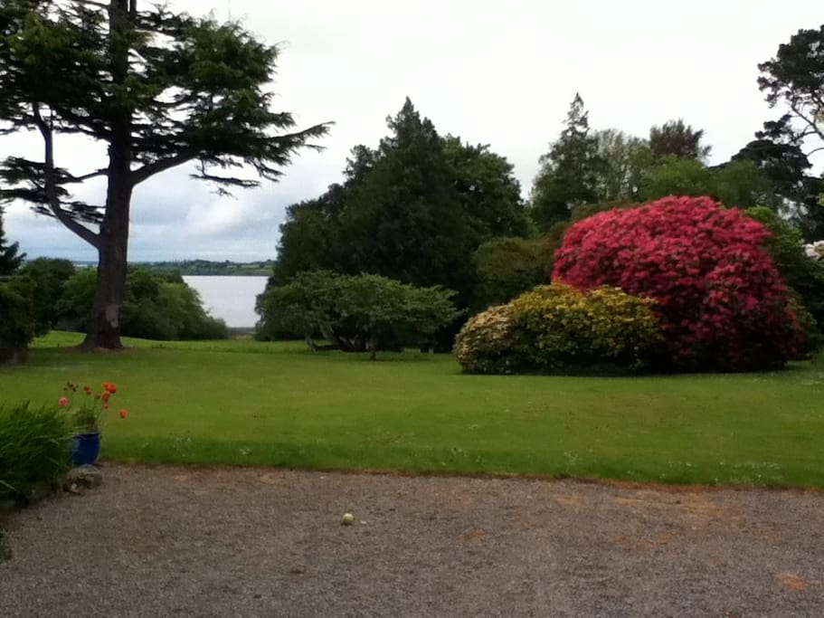 View from the house- Lough Derg in the background
