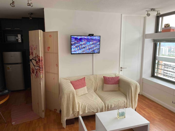 Beau Studio Avec Piscine. - Las Condes