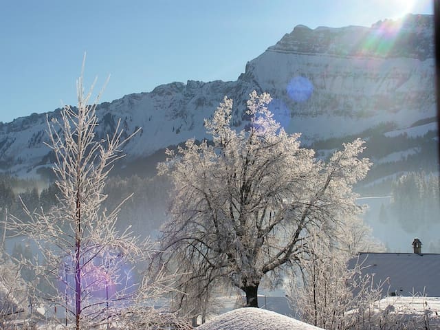 Great room in Schangnau with a wonderful view