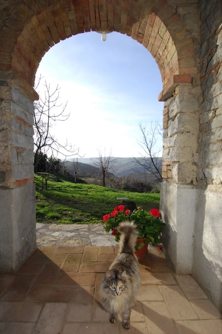 particolare entrata