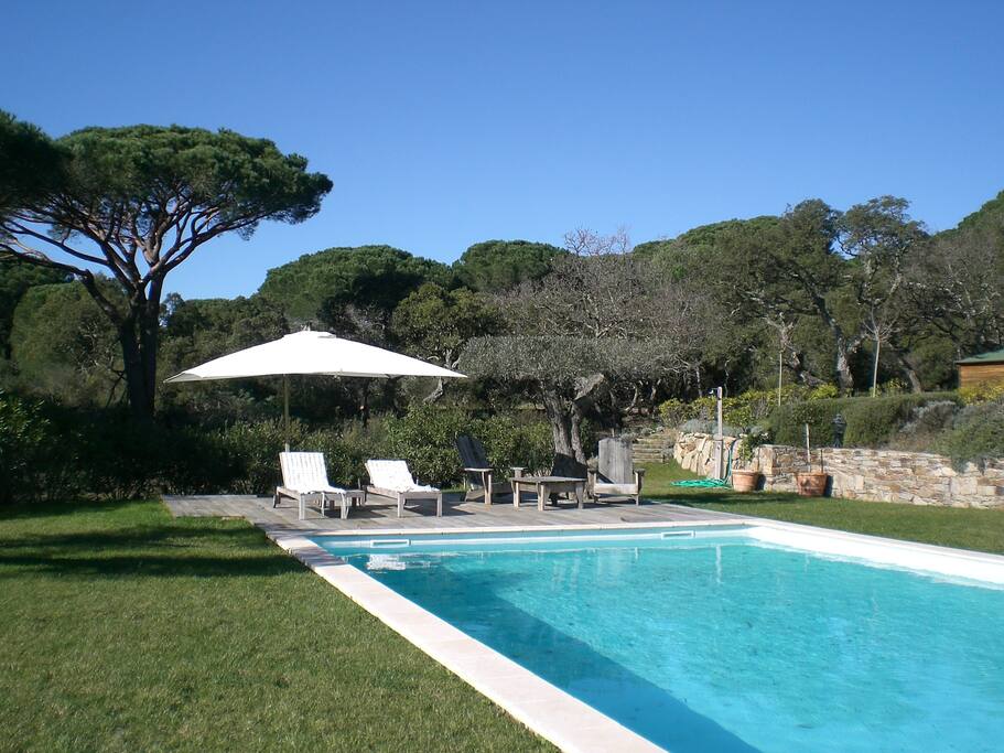 Piscine de grande taille