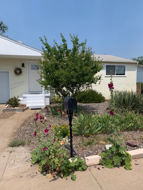The exterior of the casita features a welcoming entrance with a white door and steps leading to the porch. Lush greenery, including a small tree, is seen alongside flower beds with vibrant pink blooms, framed by low shrubbery and decorative stones.