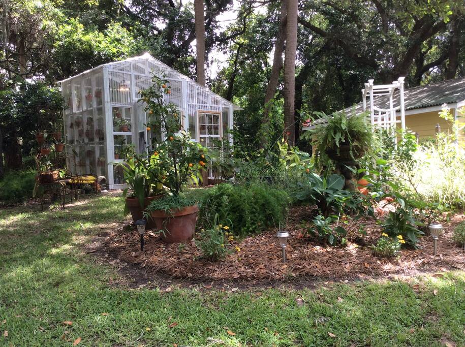 Orchid greenhouse in the side yard