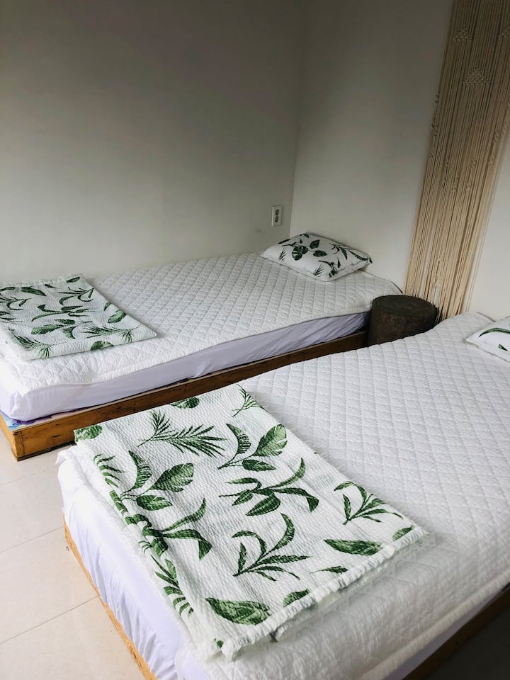 Това е стая с две единични легла в малка стая.
Има прозорец към полето за мандарини, така че сутрешното слънце и гледката са красиви. 
Смяна на спално бельо през лятото и зимата.