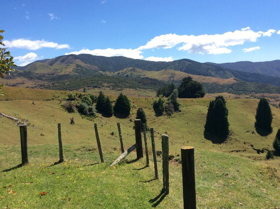 Our farm - view from your cottage