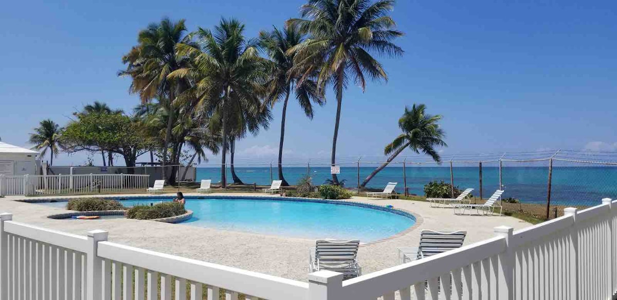A serene pool area is surrounded by swaying palm trees, overlooking the ocean. Lounge chairs are arranged around the pool, which is set in a landscaped space featuring gravel and greenery. The clear blue sky enhances the relaxing atmosphere.