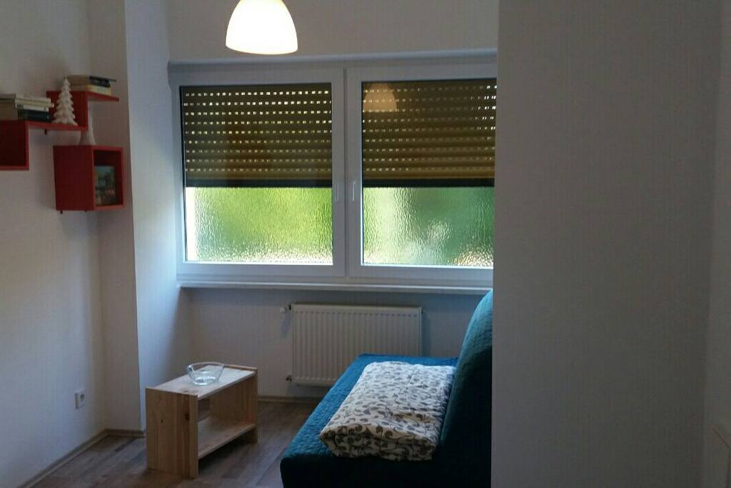 The frosted windows are there to obtain visual privacy, while allowing natural light to illuminate the space over the day.