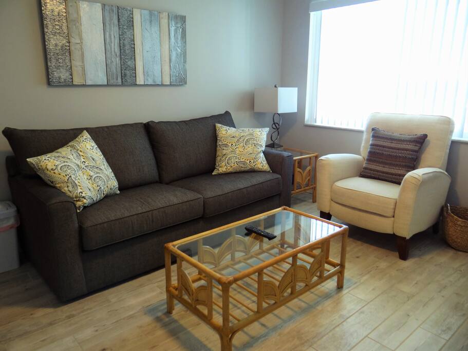 NEW furniture in the living room