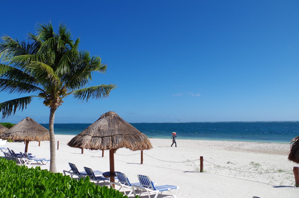 A sandy beach is viewed with blue waters stretching into the distance, wherein a lone figure is seen walking along the shore. Thatched umbrellas and lounge chairs are positioned on the sand, flanked by green vegetation, providing a serene coastal atmosphere.