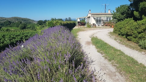 Beautiful view & absolute calm, welcome to the Cabanon!