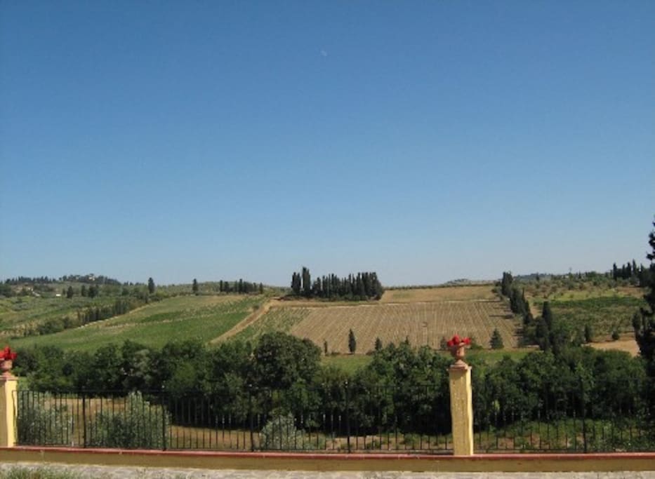 View from the terrace