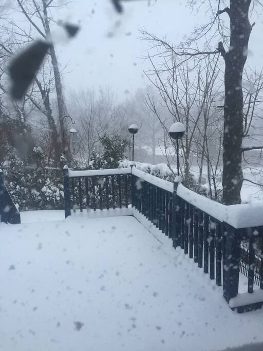Last Winter- the back deck