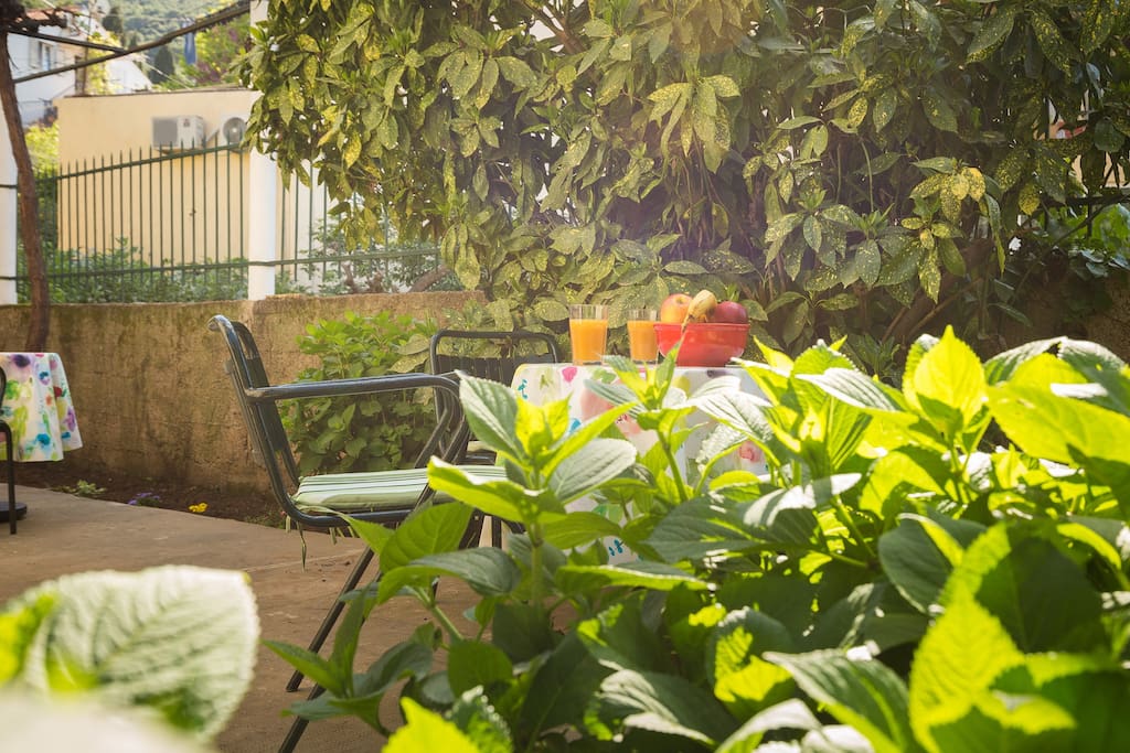 Garden
