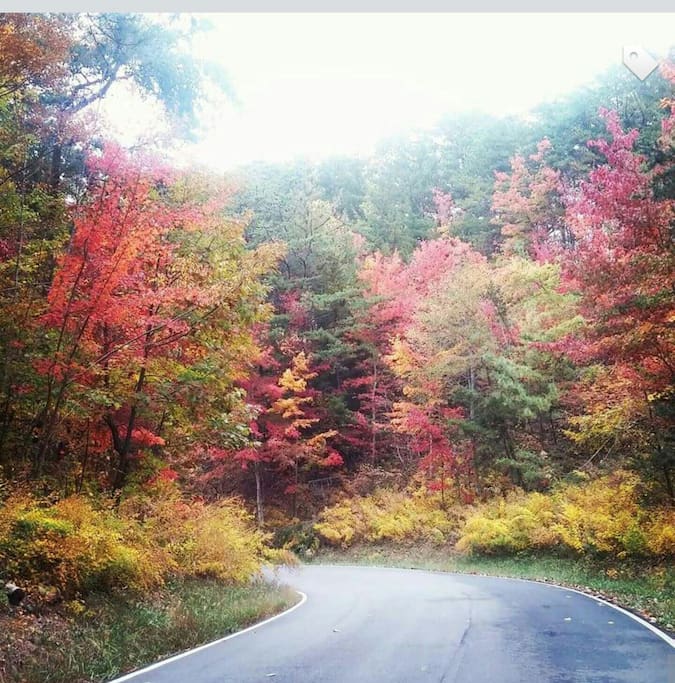 The fall colors are spectacular!