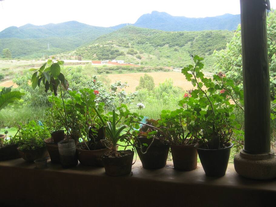 View from the mail terrace