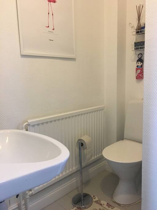 Toilet top floor