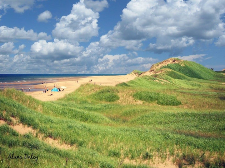 Lakeside Beach Cabin Cottages for Rent in Morell, Prince Edward Island, Canada Airbnb