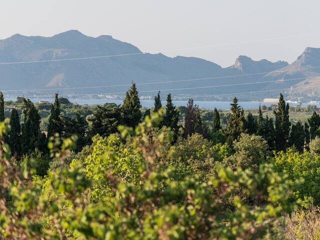 Can Bellver finca rural gallery image 5