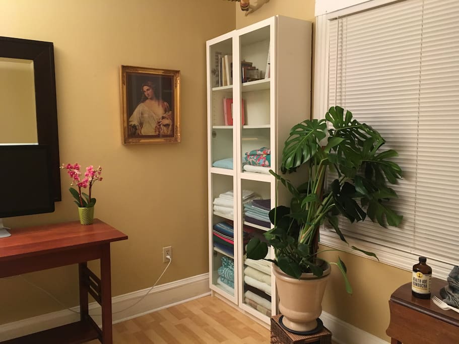 Living and bedroom. Antique Danish picture frame, thriving philodendron, cherry wood desk.