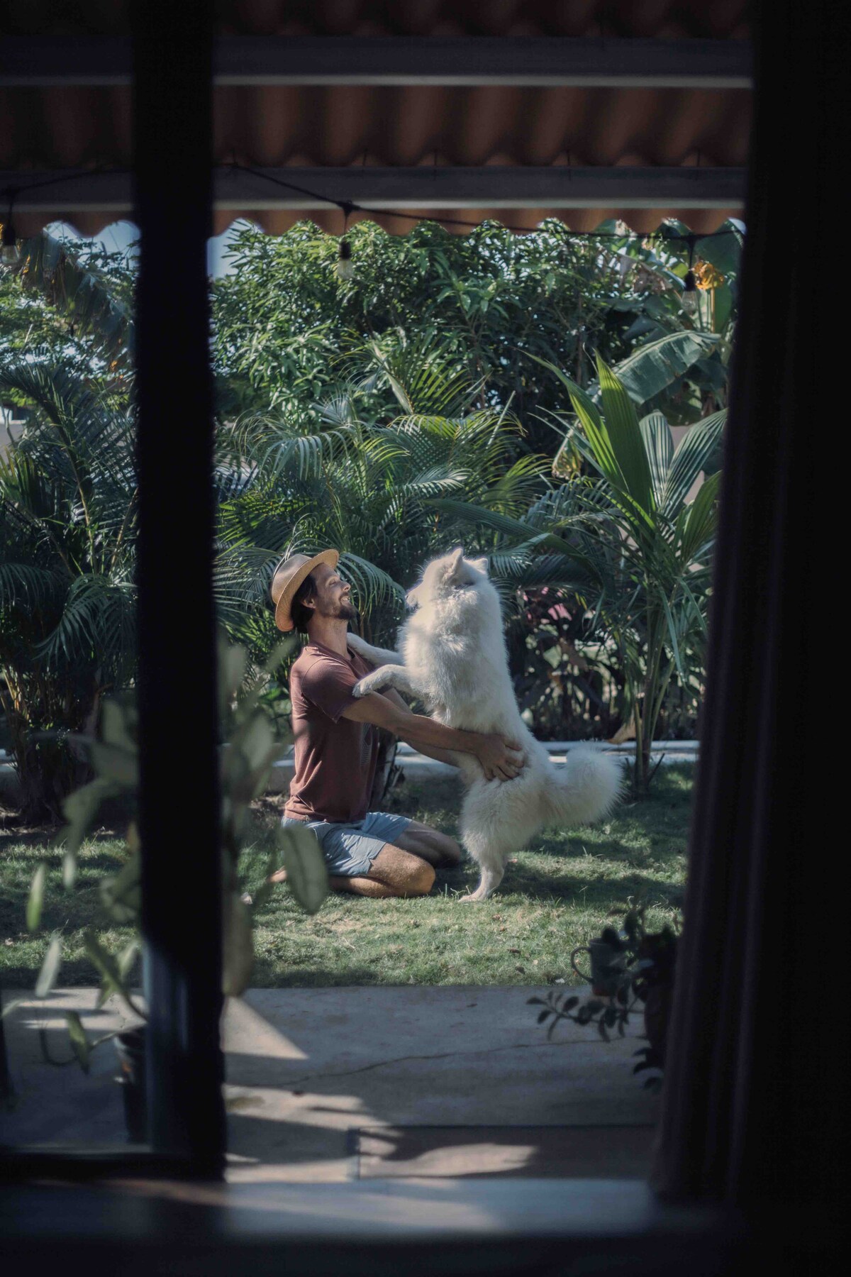 A person is seen kneeling on a grassy area, embracing a friendly dog. Lush green plants and trees frame the scene, creating a natural and inviting atmosphere. A partial view of the room's interior is visible through the open doorway.
